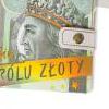 Portfelik na upominek, prezent, banknoty POR11